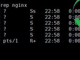 Linux 如何快速找到运行中的进程